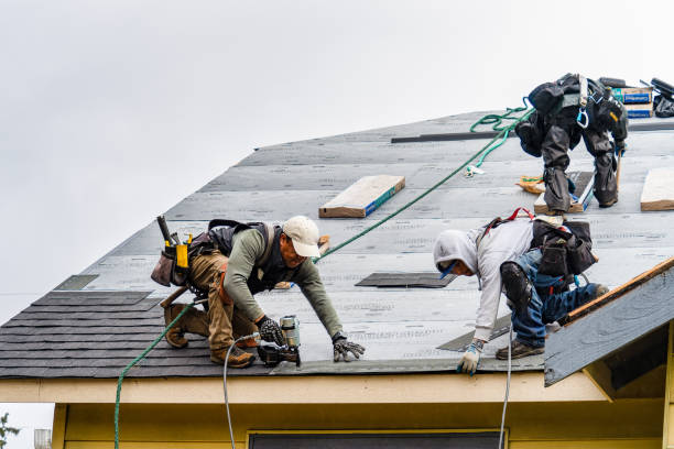 Professional Gutter Installation technician working in Exira, IA